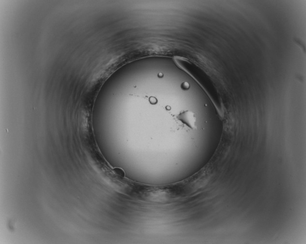 X0000103490456200809191926