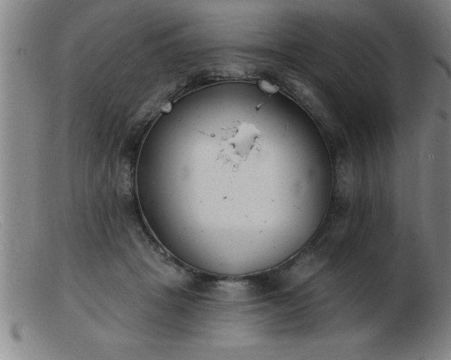 X0000103490457200809191926