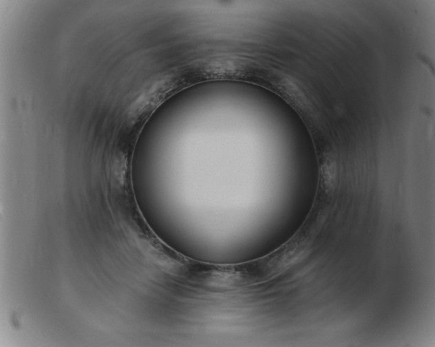 X0000103490458200809191926