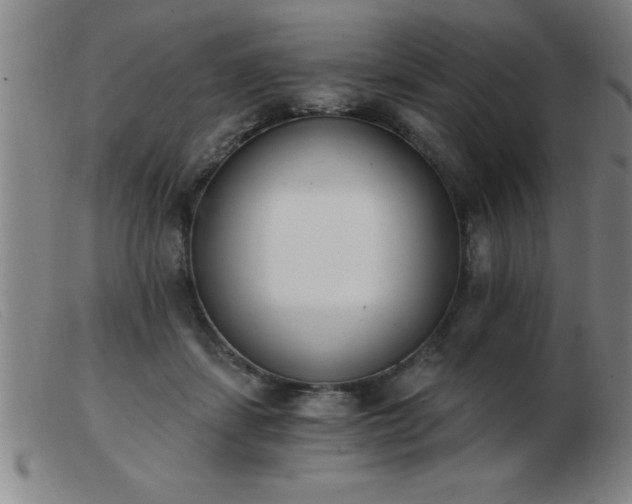 X0000103490459200809191926