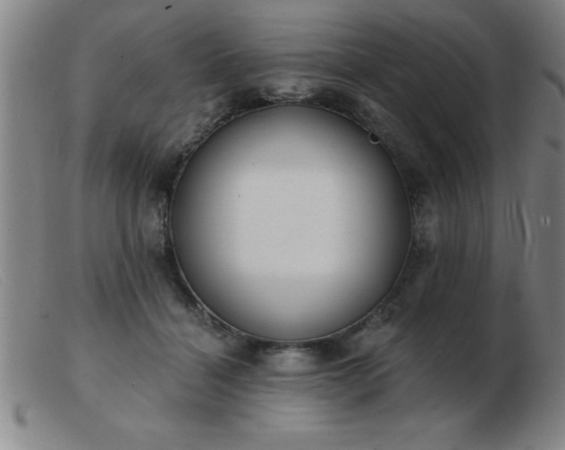 X0000103490460200809191926