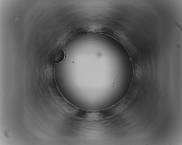 X0000103490461200809191926