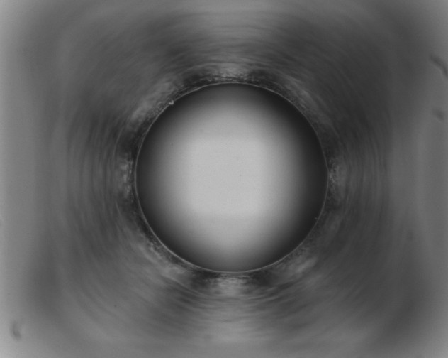 X0000103490462200809191926