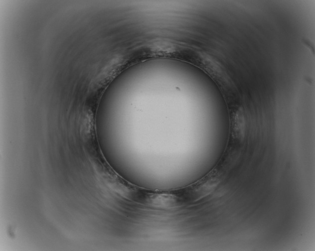 X0000103490463200809191926