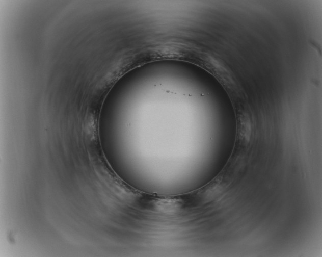 X0000103490465200809191926