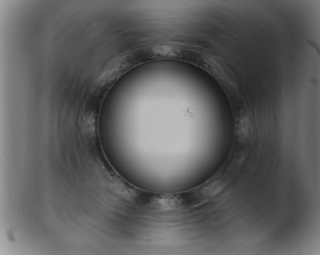 X0000103490466200809191926