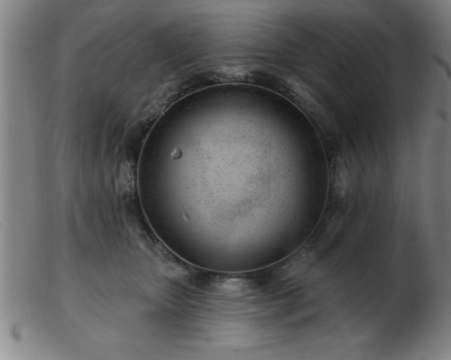 X0000103490467200809191926