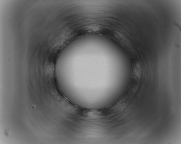 X0000103490468200809191926