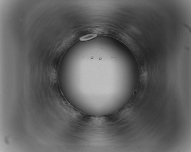 X0000103490469200809191926