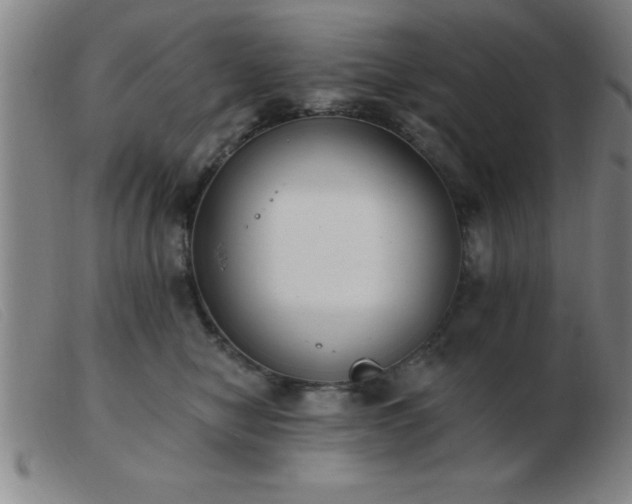 X0000103490470200809191926