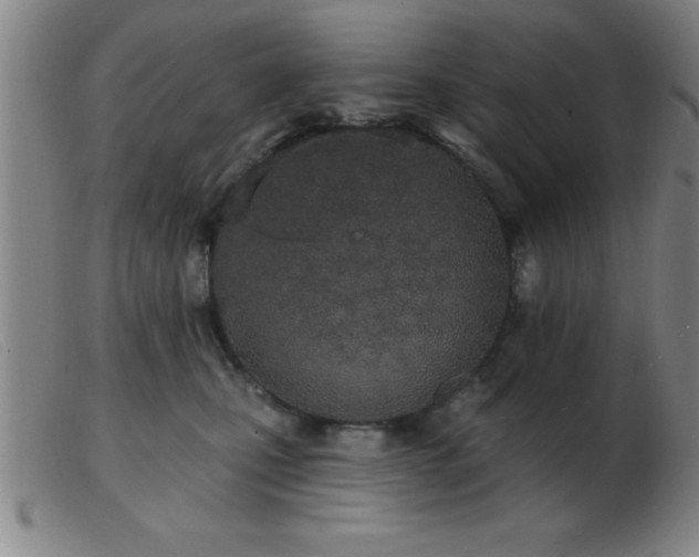 X0000103490471200809191926