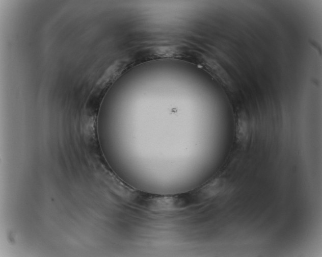 X0000103490473200809191926