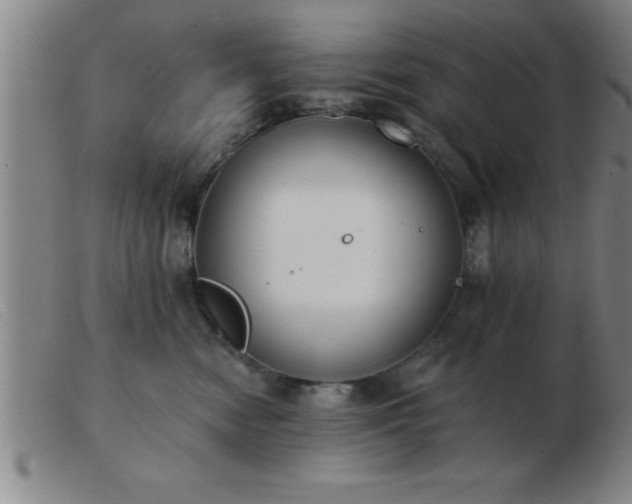 X0000103490474200809191926