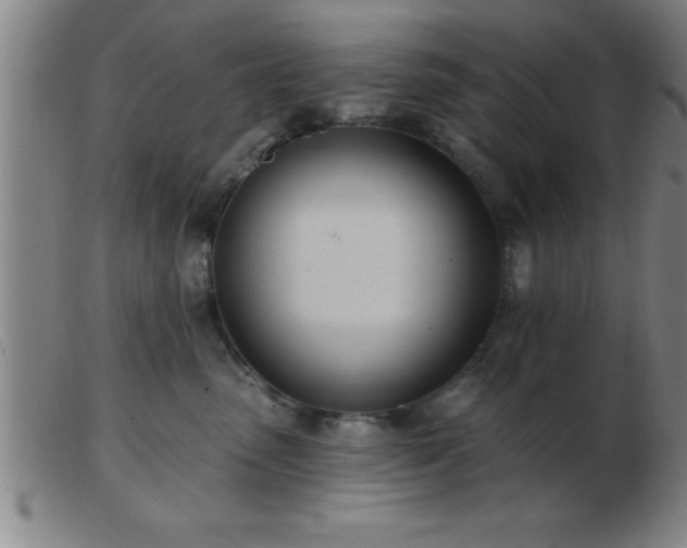 X0000103490475200809191926