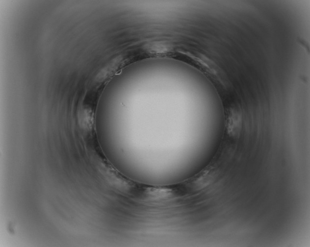 X0000103490476200809191926