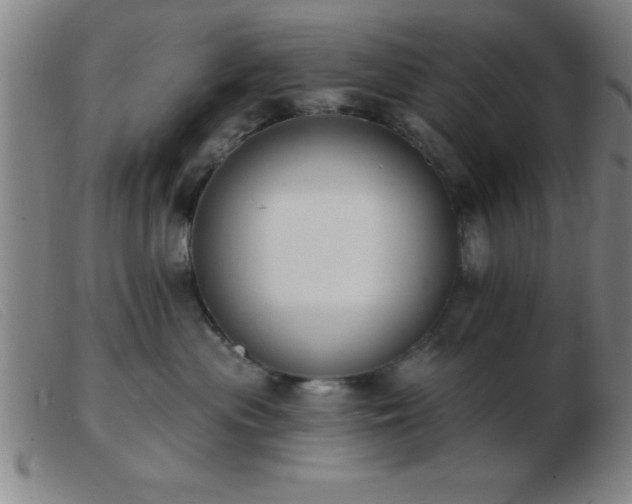 X0000103490477200809191926