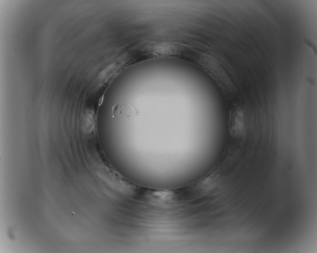 X0000103490478200809191926