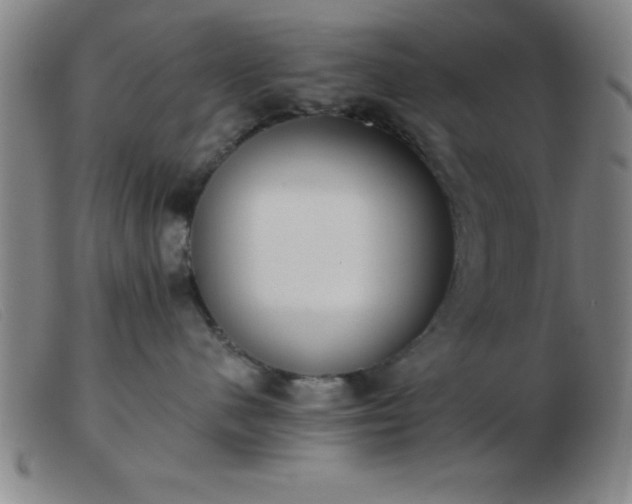 X0000103490480200809191926