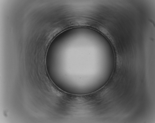 X0000103490481200809191926