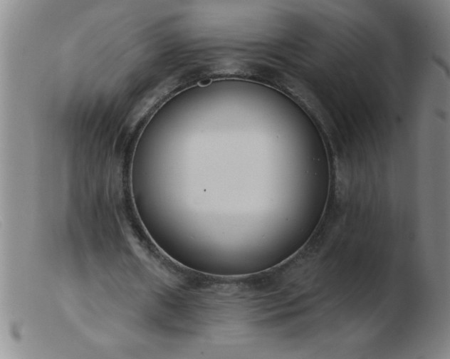 X0000103490482200809191926