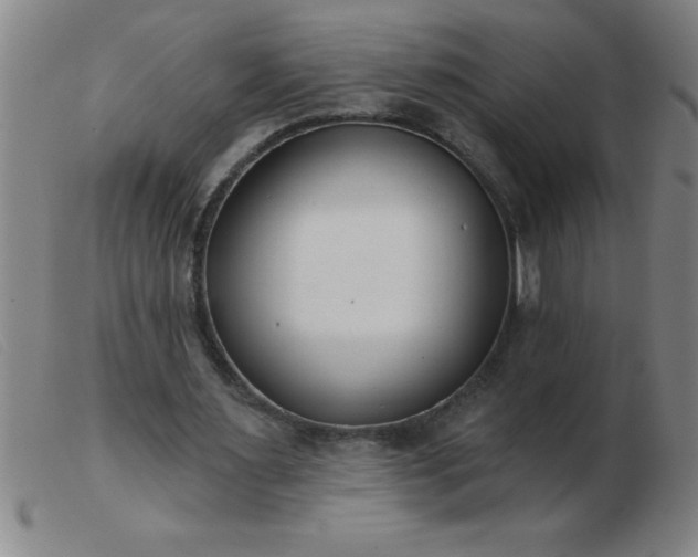 X0000103490483200809191926