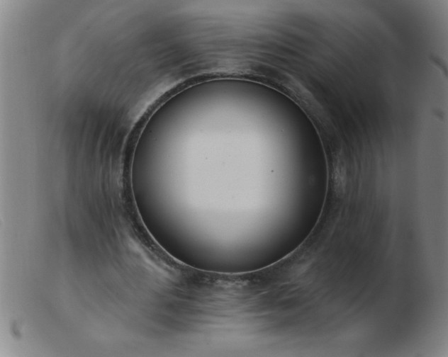 X0000103490484200809191926