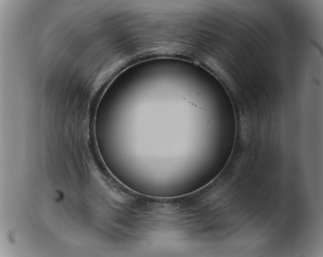 X0000103490486200809191926