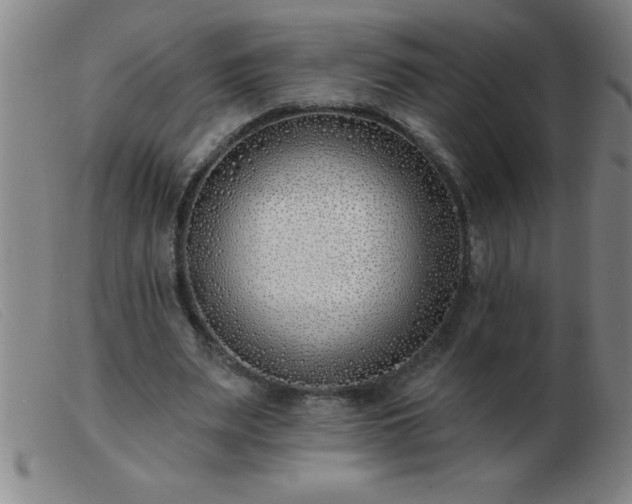 X0000103490487200809191926