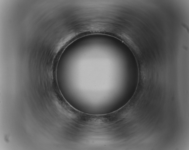 X0000103490488200809191926