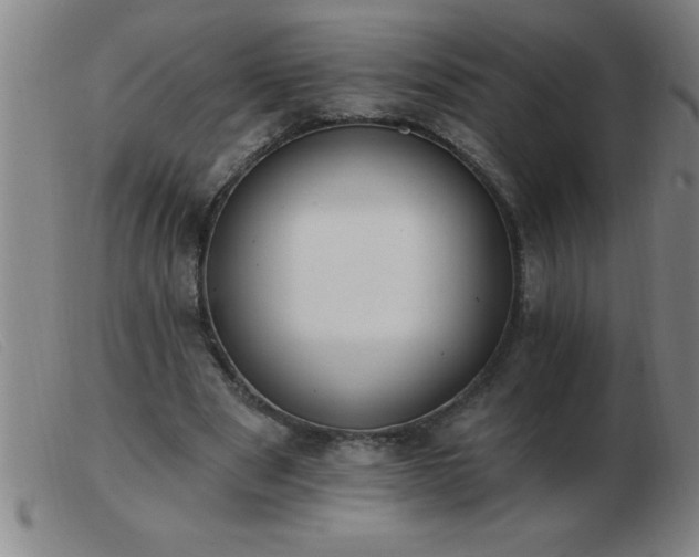 X0000103490489200809191926