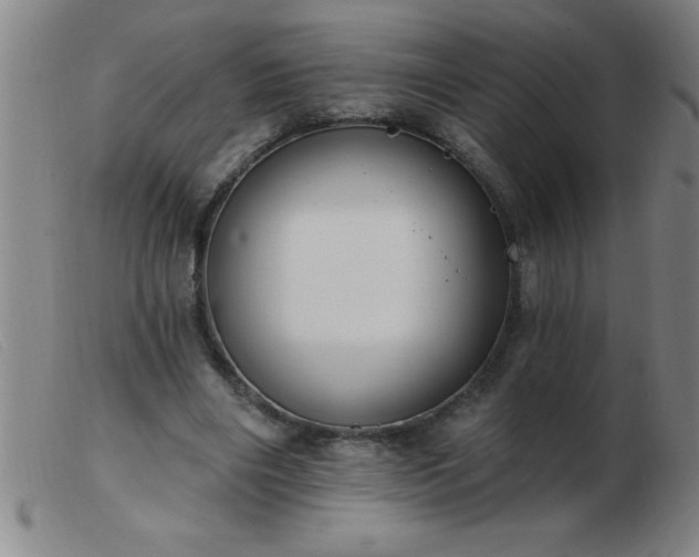 X0000103490490200809191926