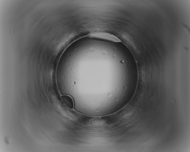 X0000103490491200809191926