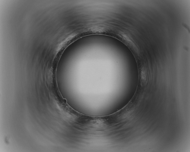 X0000103490492200809191925