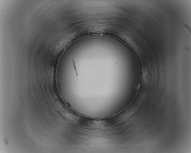 X0000103490493200809191925