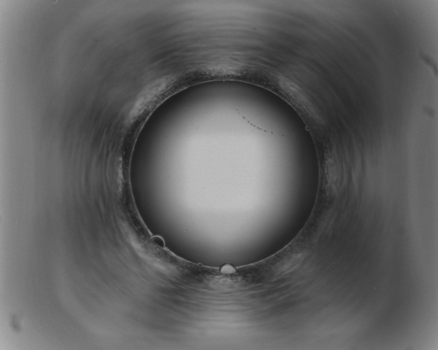 X0000103490494200809191925