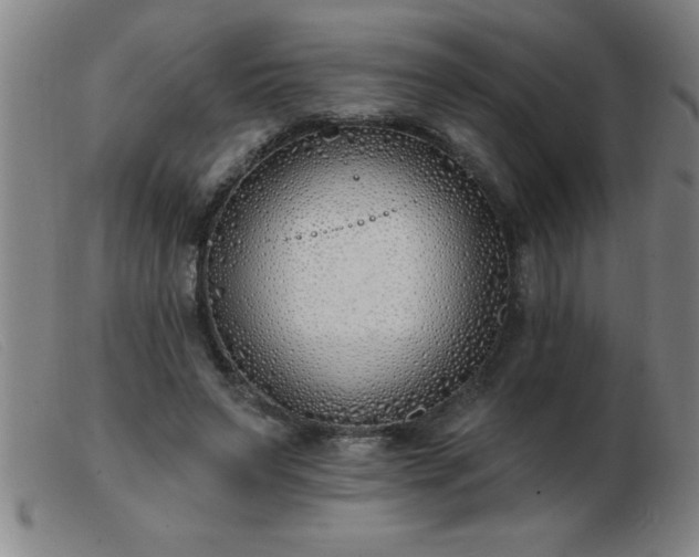 X0000103490495200809191925