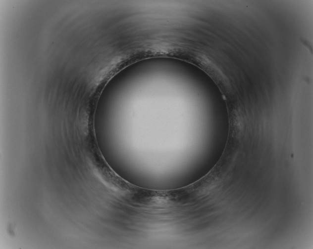 X0000103490496200809191925