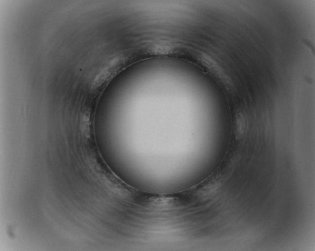 X0000103490497200809191925