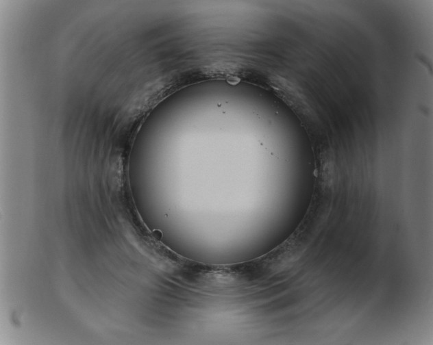 X0000103490498200809191925