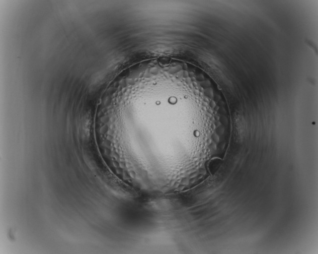 X0000103490499200809191925