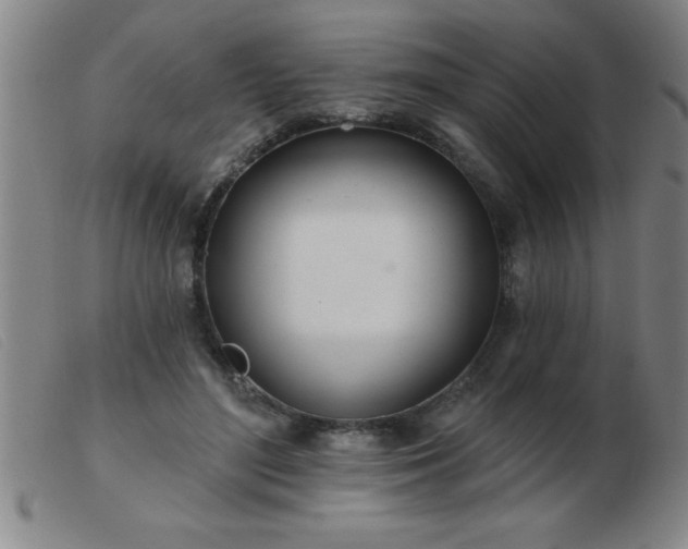 X0000103490500200809191925