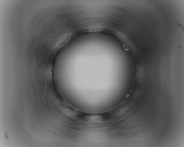 X0000103490501200809191925