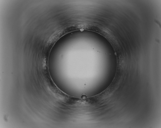 X0000103490502200809191925