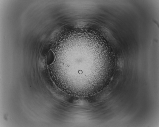 X0000103490503200809191925