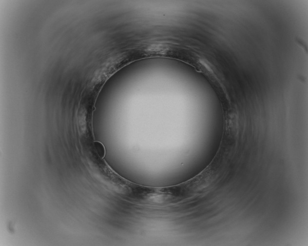 X0000103490504200809191925