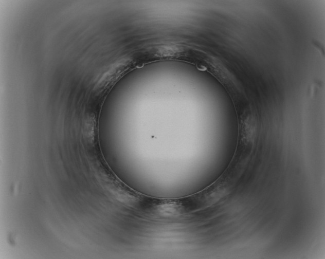 X0000103490505200809191925