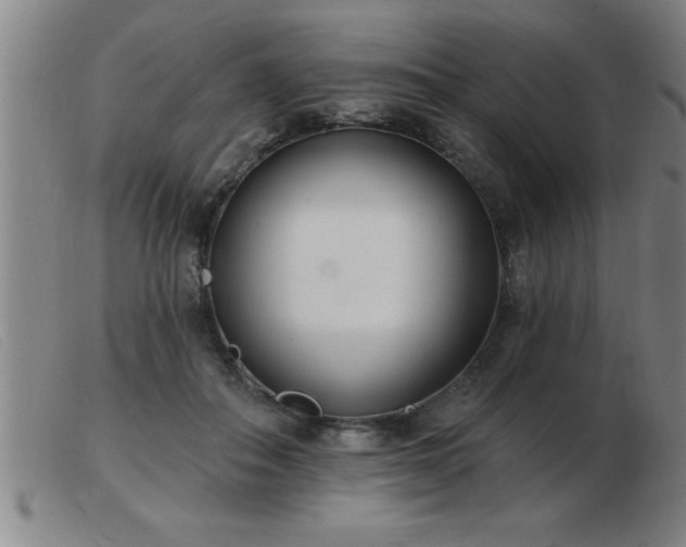 X0000103490506200809191925