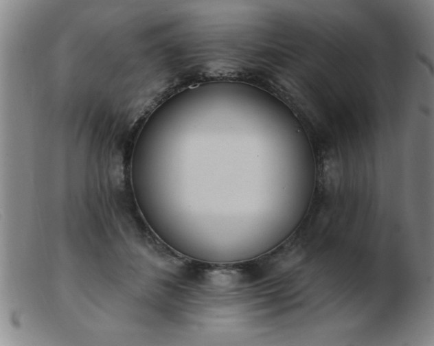 X0000103490508200809191925