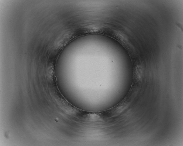 X0000103490509200809191925