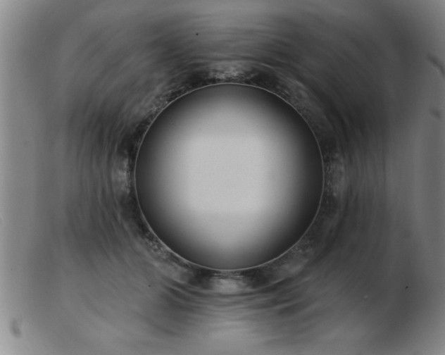 X0000103490510200809191925